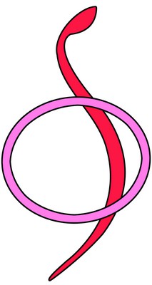 Logo sage-femme